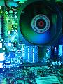 Click for preview picture of "P7080162 (450 x 600)"