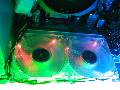 Click for preview picture of "P7080164 (800 x 600)"